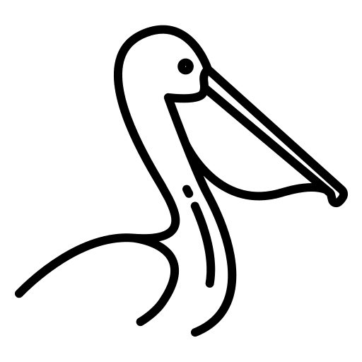 Pelican ornithology wildlife zoology icon