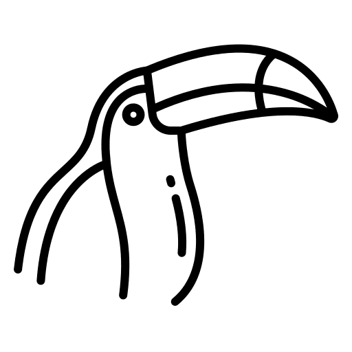 Toucan zoology toucan bird icon