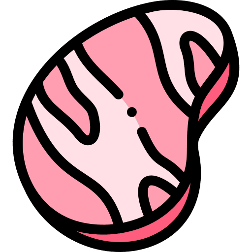 Sirloin steak butcher sirloin steak supermarket icon Sirloin steak butcher sirloin steak supermarket icon