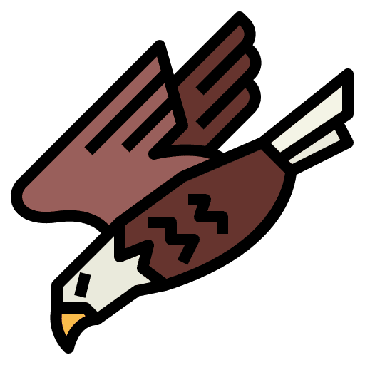 Eagle animal kingdom bird falcon icon