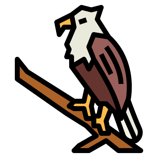 Eagle animals bird falcon icon