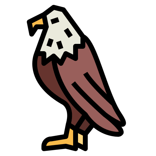Eagle eagle animal animal kingdom icon