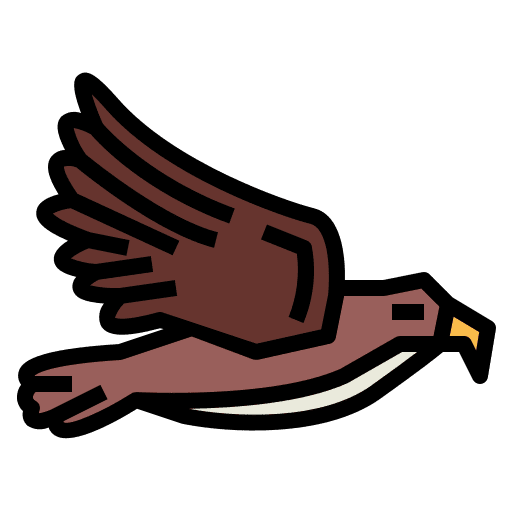 Eagle hawk eagle animal icon