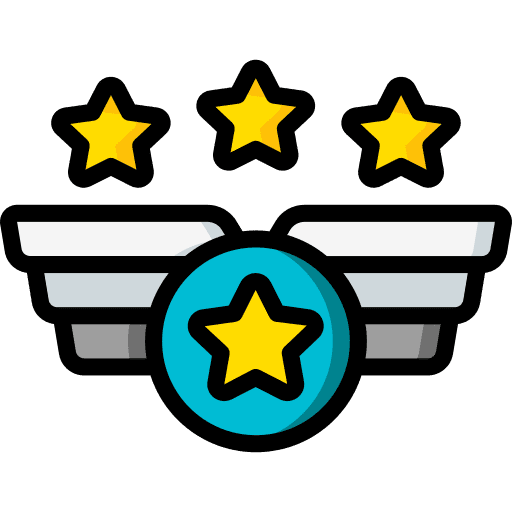 Badge fighter wings pilot icon