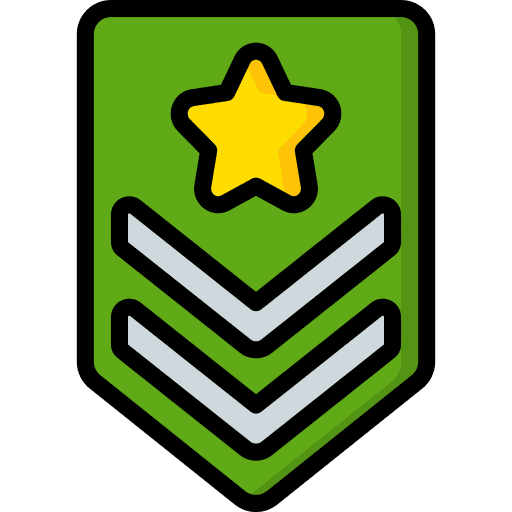 Badge security medal badge icon