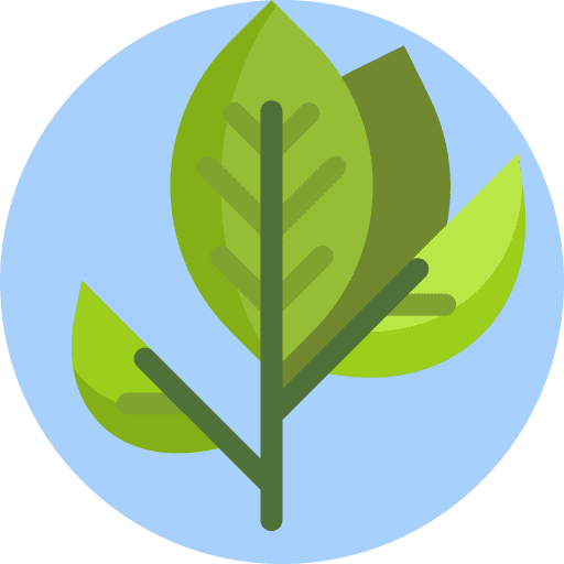 Tea leaf food and restaurant branch nature icon