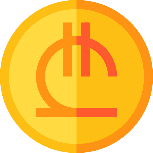 Lari lari currency finance icon Lari lari currency finance icon