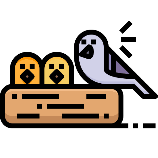 Bird feathers beak animals icon Bird feathers beak animals icon
