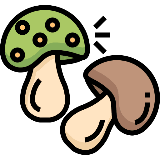Mushroom vegetable spores nature icon