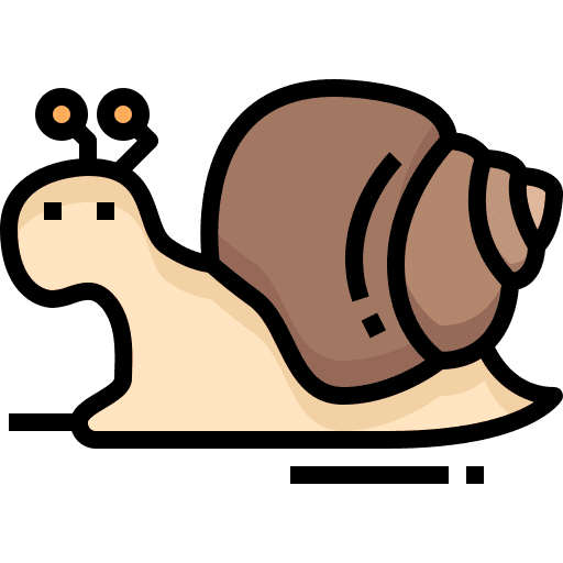 Snail animal kingdom animals slug icon Snail animal kingdom animals slug icon
