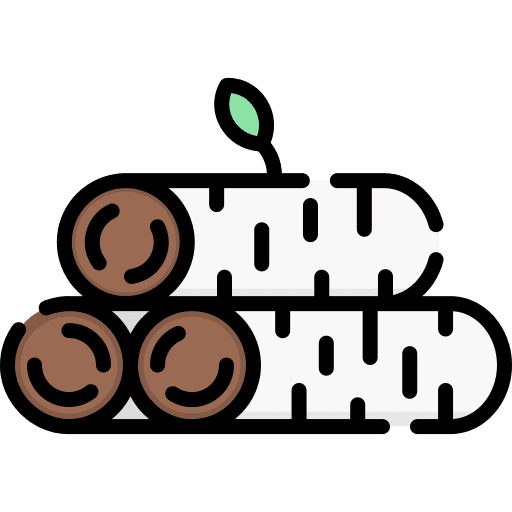 Birch wood tree trunks icon