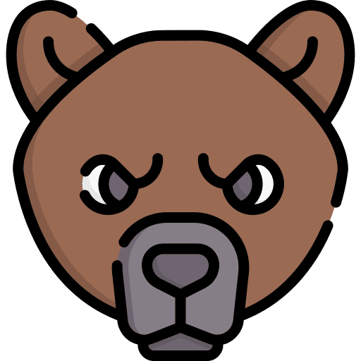 Bear animal kingdom zoo mammal icon