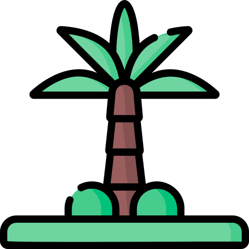 Palm tree palm tree nature coconut tree icon Palm tree palm tree nature coconut tree icon