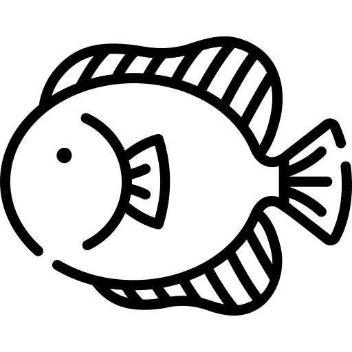 Fish fish food animal icon