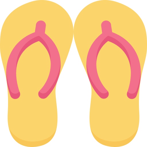 Flip flops fashion footwear flip flops icon