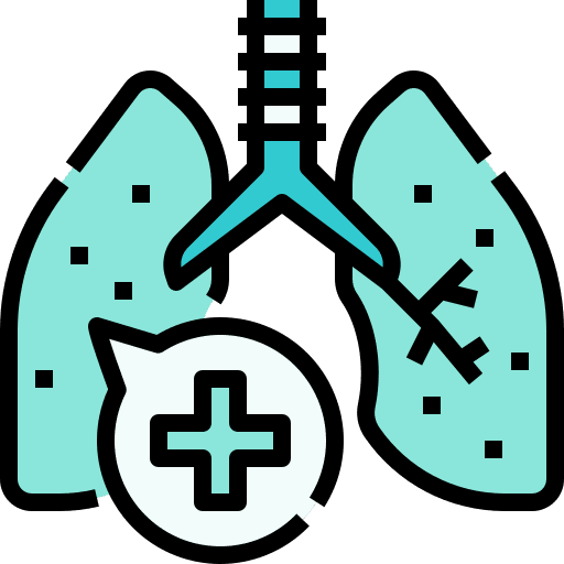 Lung healthcare and medical healthy body parts icon