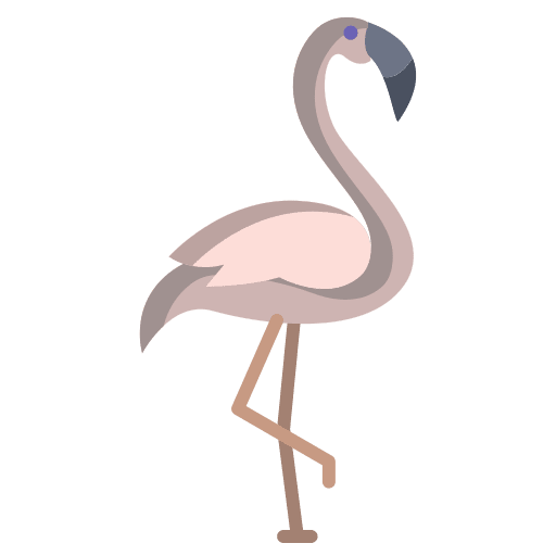 Flamingo fauna wildlife animals icon