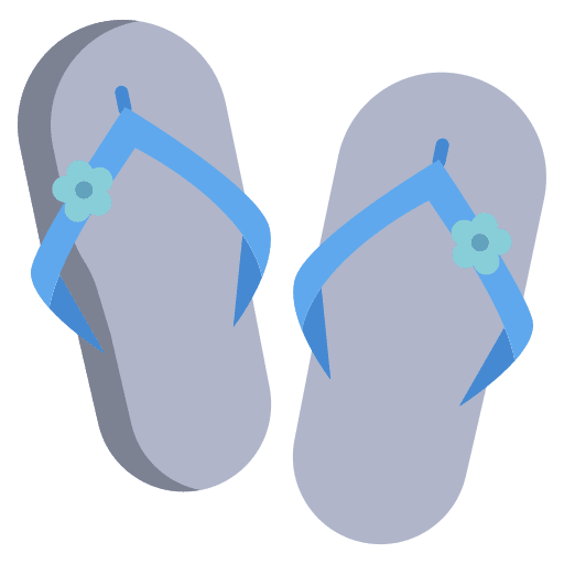Flip flop footwear flip flop summer icon