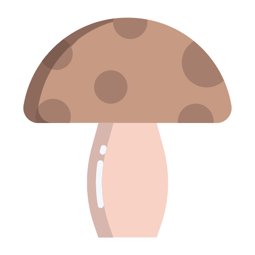 Mushroom organic mushroom vegetarian icon