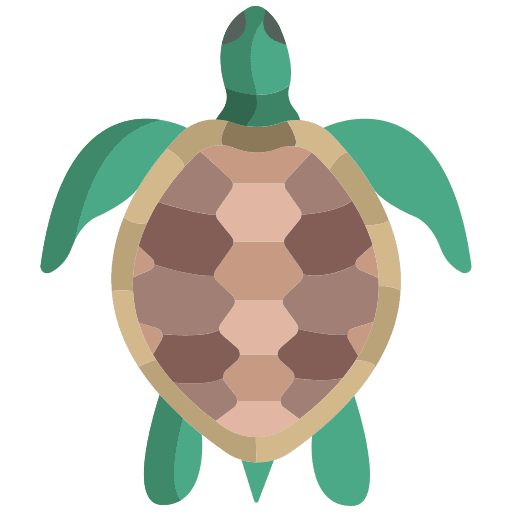 Turtle pet wild life tortoise icon Turtle pet wild life tortoise icon
