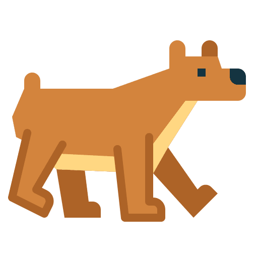 Bear animal wild life mammal icon Bear animal wild life mammal icon