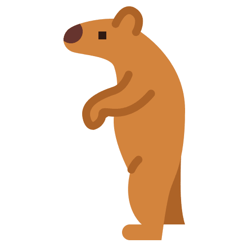 Bear bear zoo animal icon Bear bear zoo animal icon