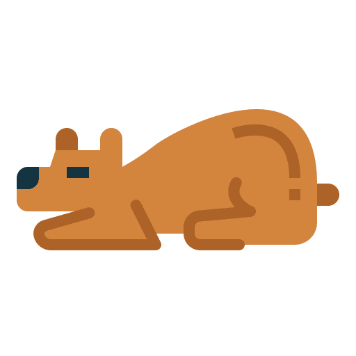Bear mammal wild life zoo icon Bear mammal wild life zoo icon