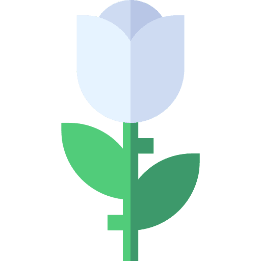 Rose funeral cultures nature icon Rose funeral cultures nature icon