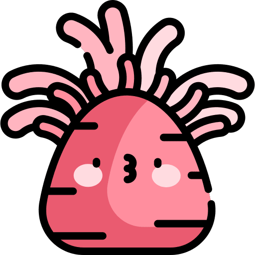 Anemone aquatic anemone sea life icon Anemone aquatic anemone sea life icon