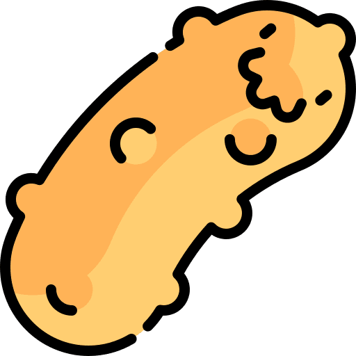 Sea cucumber sea life echinoderm aquatic icon Sea cucumber sea life echinoderm aquatic icon