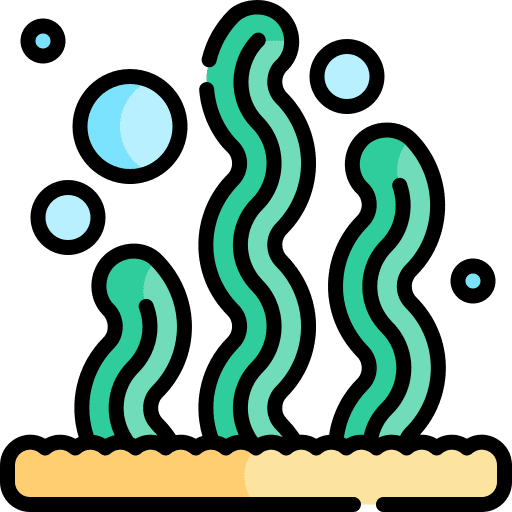 Seaweed nature algae marine icon Seaweed nature algae marine icon