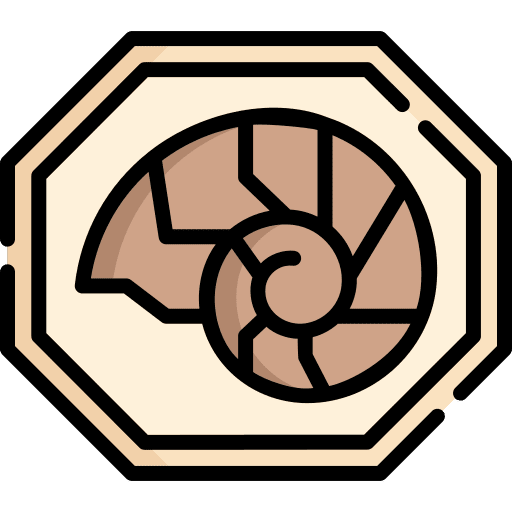 Fossil fossil shell animals icon Fossil fossil shell animals icon