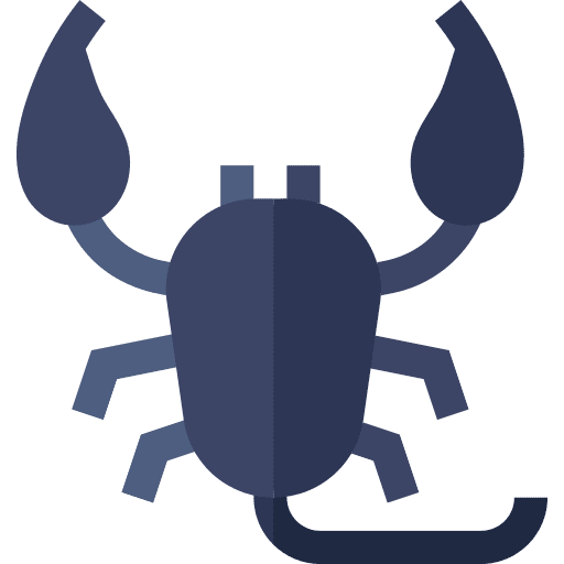 Scorpion predatory scorpion arachnid icon