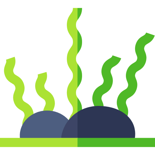 Seaweed marine aquatic sea icon Seaweed marine aquatic sea icon