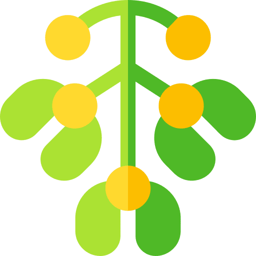 Mistletoe berry leaves nature icon Mistletoe berry leaves nature icon