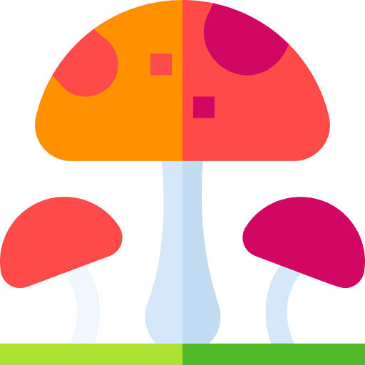 Mushroom muscaria vegetarian nature icon Mushroom muscaria vegetarian nature icon