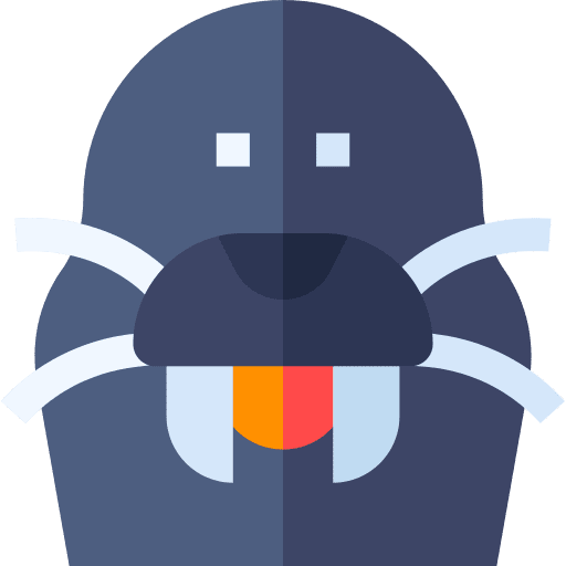 Walrus walrus animals animal kingdom icon Walrus walrus animals animal kingdom icon