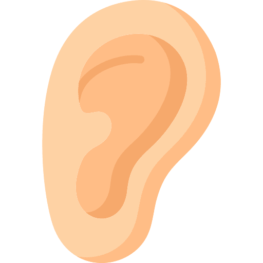 Ear ear listen anatomy icon