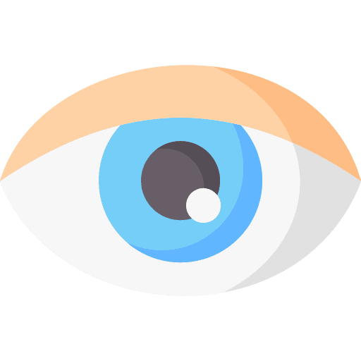 Eye vision optical see icon