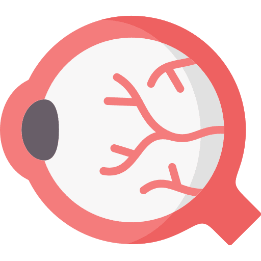 Eyeball ophthalmology eye vision icon