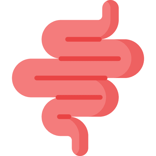 Intestine intestine gastroenterology body part icon