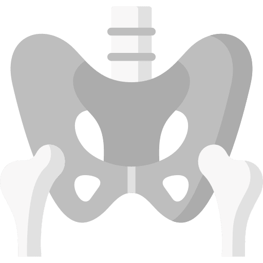 Pelvis skeleton pelvis bones icon