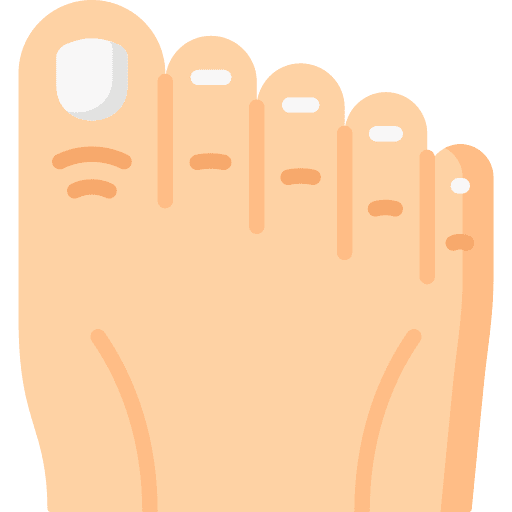 Toe feet foot human body icon
