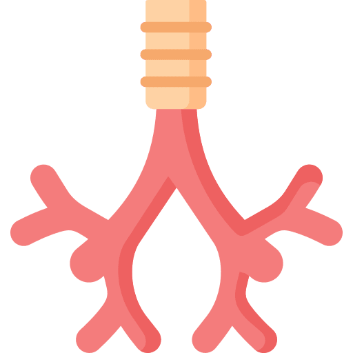 Bronchus human body anatomy trachea icon Bronchus human body anatomy trachea icon