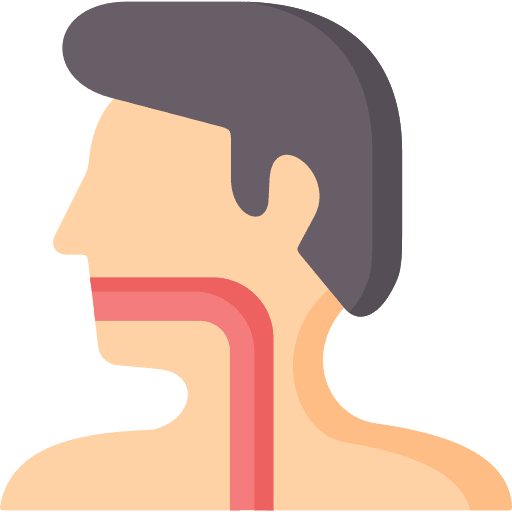Esophagus esophagus body organ user icon Esophagus esophagus body organ user icon