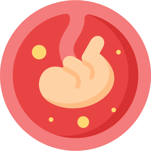 Fetus pregnancy healthcare and medical fetus icon Fetus pregnancy healthcare and medical fetus icon