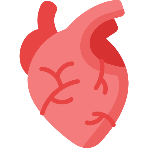 Heart heart body part cardiology icon Heart heart body part cardiology icon