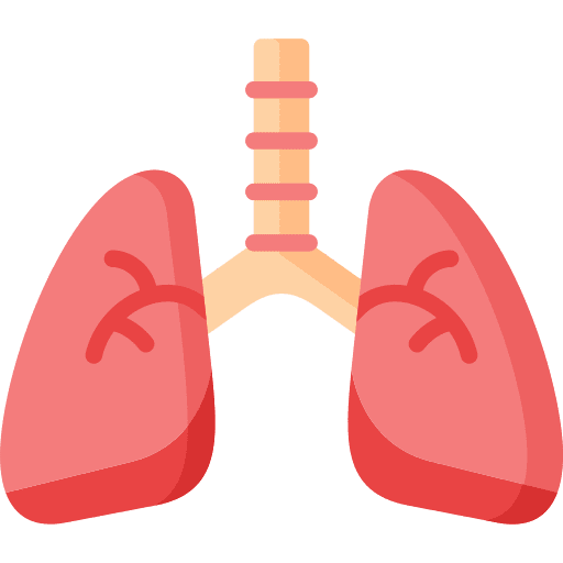 Lungs human body healthcare and medical body part icon Lungs human body healthcare and medical body part icon