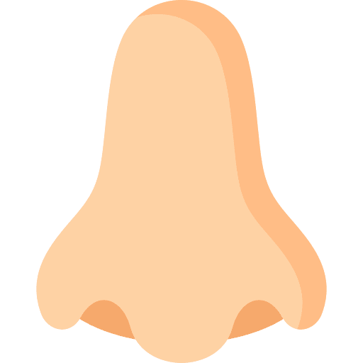 Nose breath healthcare and medical nose icon Nose breath healthcare and medical nose icon
