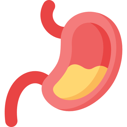 Stomach anatomy digestion gastroenterology icon Stomach anatomy digestion gastroenterology icon